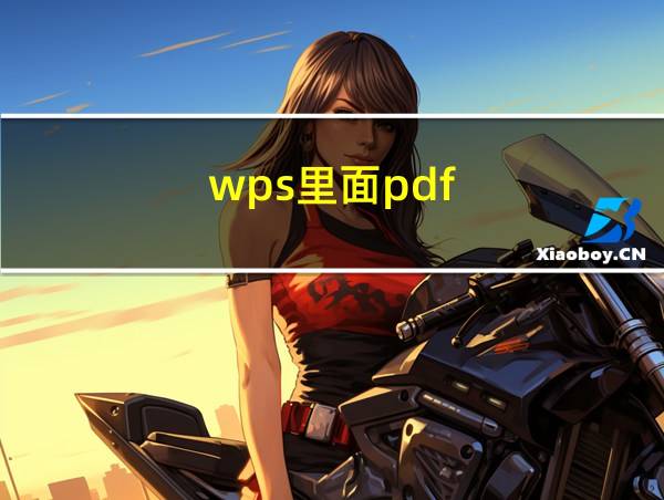 wps里面pdf的相关图片