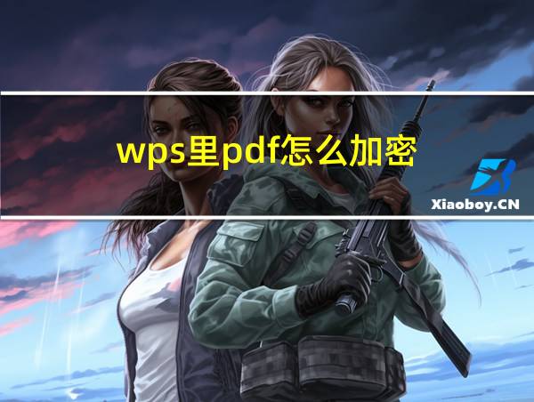 wps里pdf怎么加密的相关图片