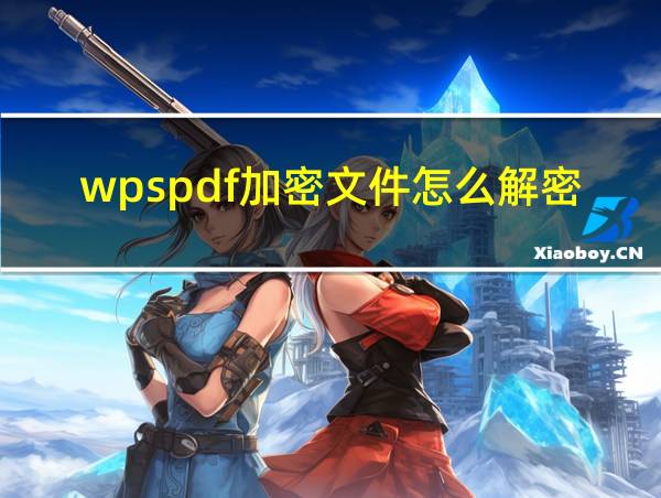 wpspdf加密文件怎么解密的相关图片