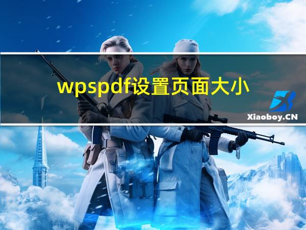 wpspdf设置页面大小的相关图片