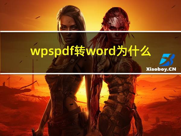 wpspdf转word为什么这么慢的相关图片