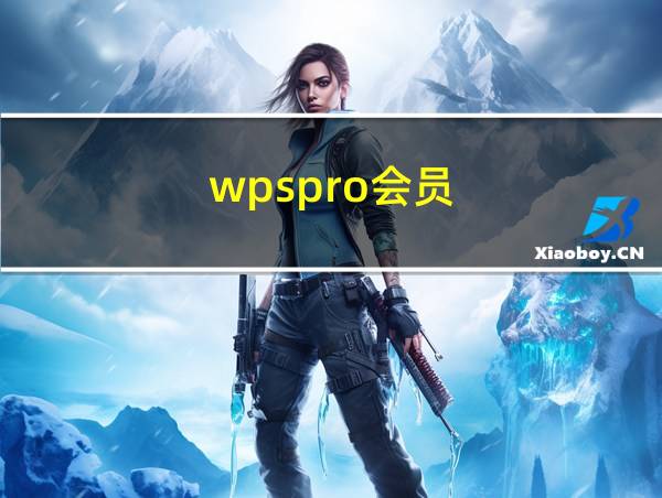 wpspro会员的相关图片