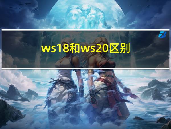 ws18和ws20区别的相关图片