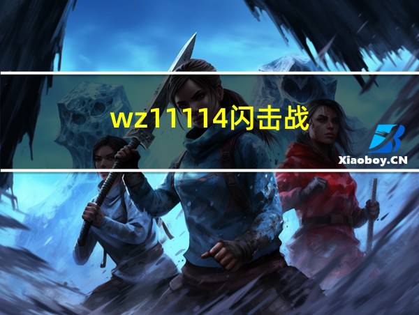 wz11114闪击战的相关图片