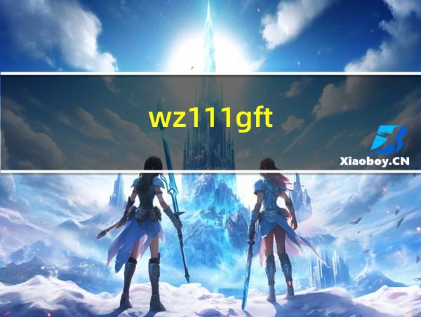 wz111gft的相关图片