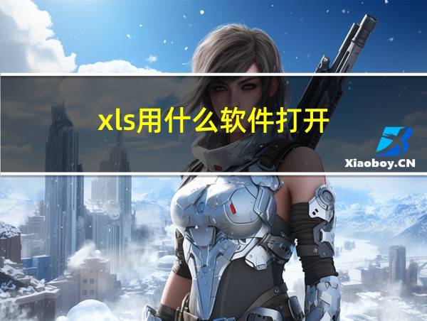 xls用什么软件打开的相关图片