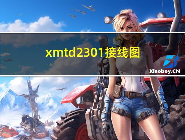 xmtd2301接线图的相关图片